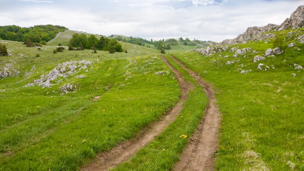 Stuck in a rut? How to get back on track