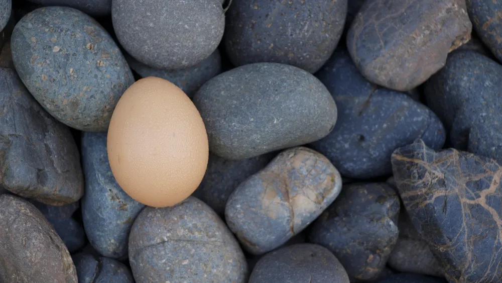 Is Imposter Syndrome still a thing?
