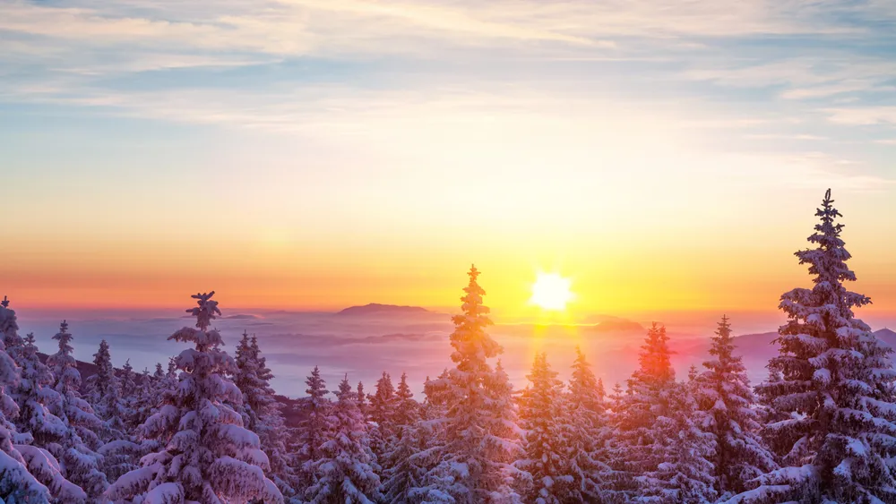 Words of Wisdom for the New Year